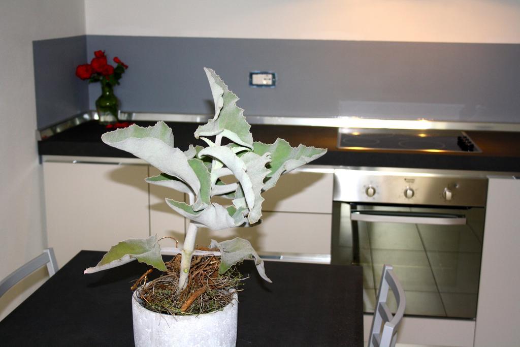 Gilda E Vesuvio Apartment แบร์กาโม ภายนอก รูปภาพ